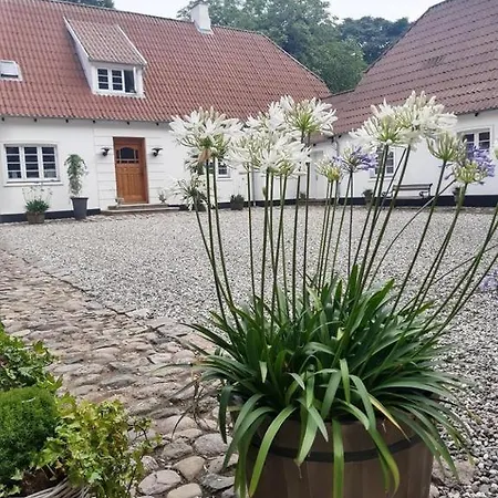 Apartmán In Danmark- Agernaesgaard Otterup
