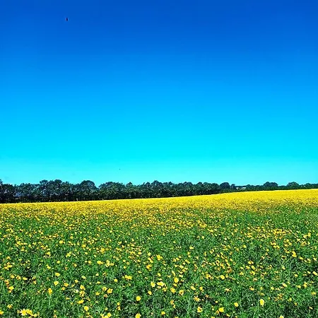 In Danmark- Agernaesgaard