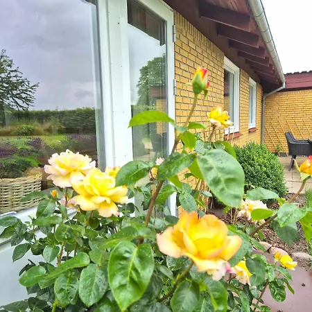 In Danmark- Agernaesgaard Appartement *