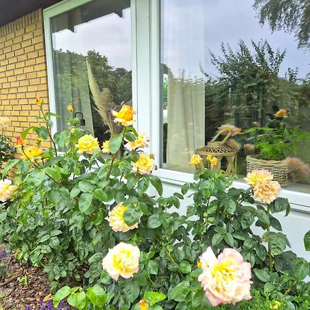 Appartement In Danmark- Agernaesgaard Otterup