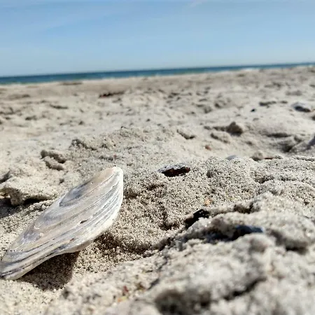 アパート In Danmark- Agernaesgaard