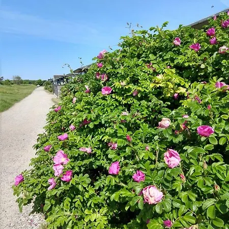 In Danmark- Agernaesgaard アパート