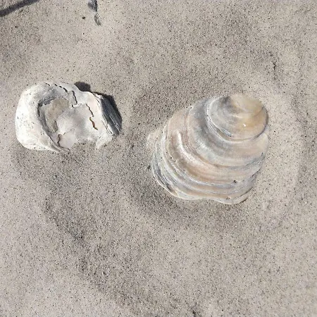 In Danmark- Agernaesgaard Otterup