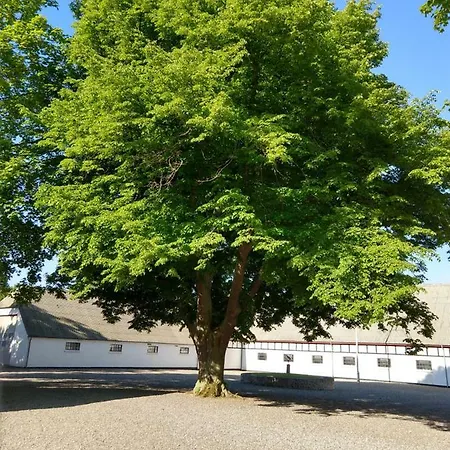 In Danmark- Agernaesgaard Apartmán