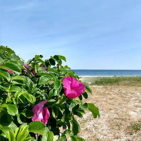 In Danmark- Agernaesgaard Apartmán Otterup