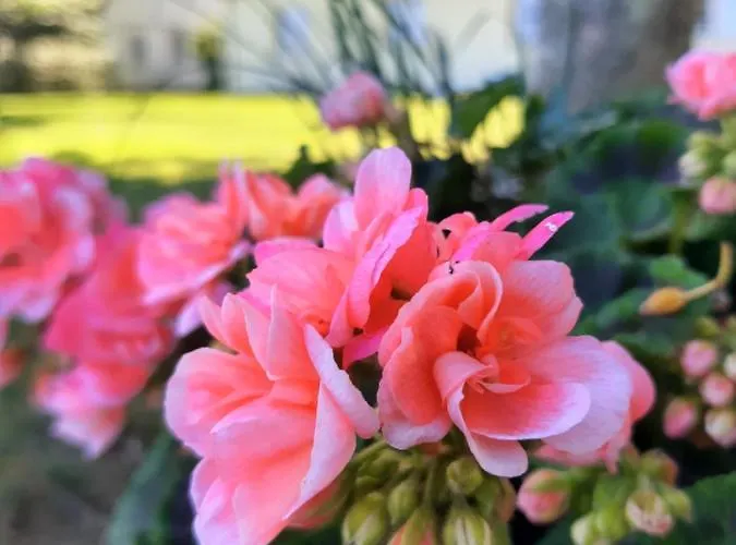 In Danmark- Agernaesgaard * Оттеруп