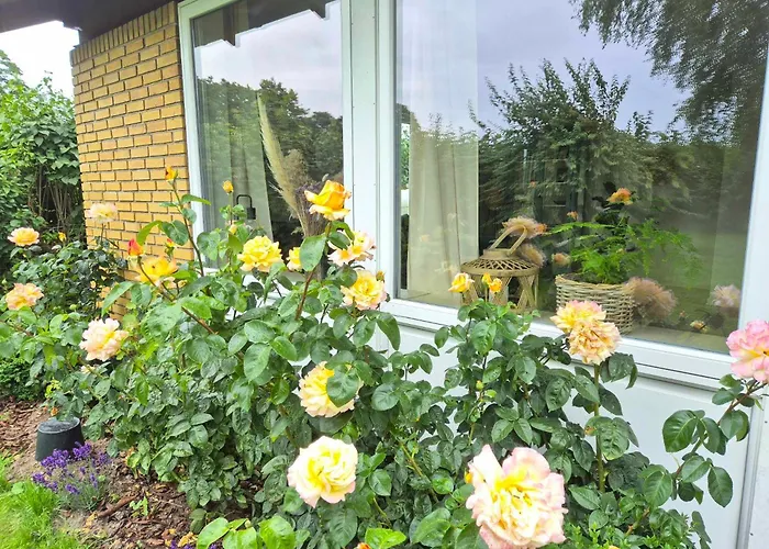 Appartement In Danmark- Agernaesgaard Otterup