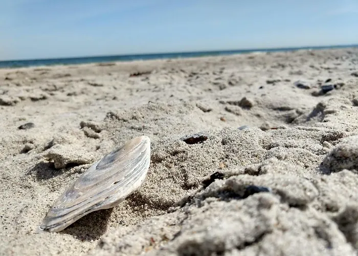 Апартаменты In Danmark- Agernaesgaard