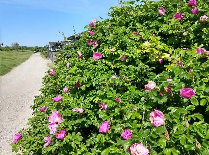 In Danmark- Agernaesgaard Апартаменты