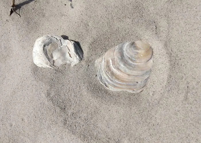 In Danmark- Agernaesgaard Оттеруп