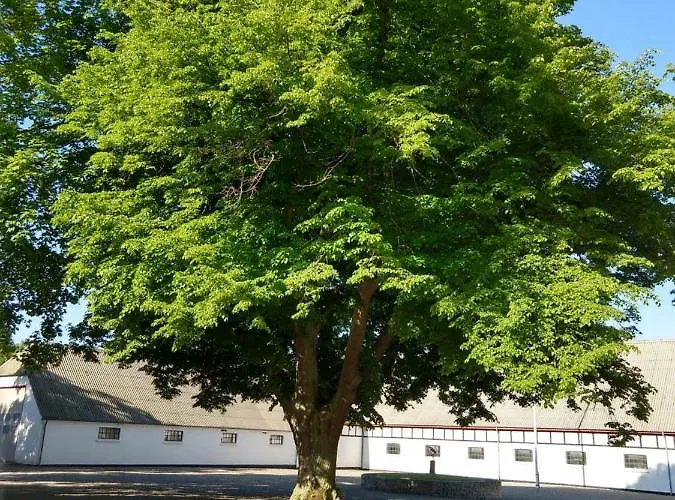 In Danmark- Agernaesgaard Апартаменты