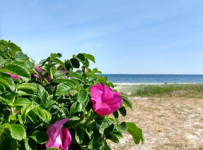 In Danmark- Agernaesgaard Апартаменты Оттеруп